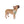 ’Southwestern Spirit Dog Bandana’ Double R Western’s Western Adventure Pet Bandana 27’’ × 13’’ Pets