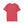 Spirit Line “Roam Free” White Bison Tee – Double R Western™ Hot Off The Trail T Shirt