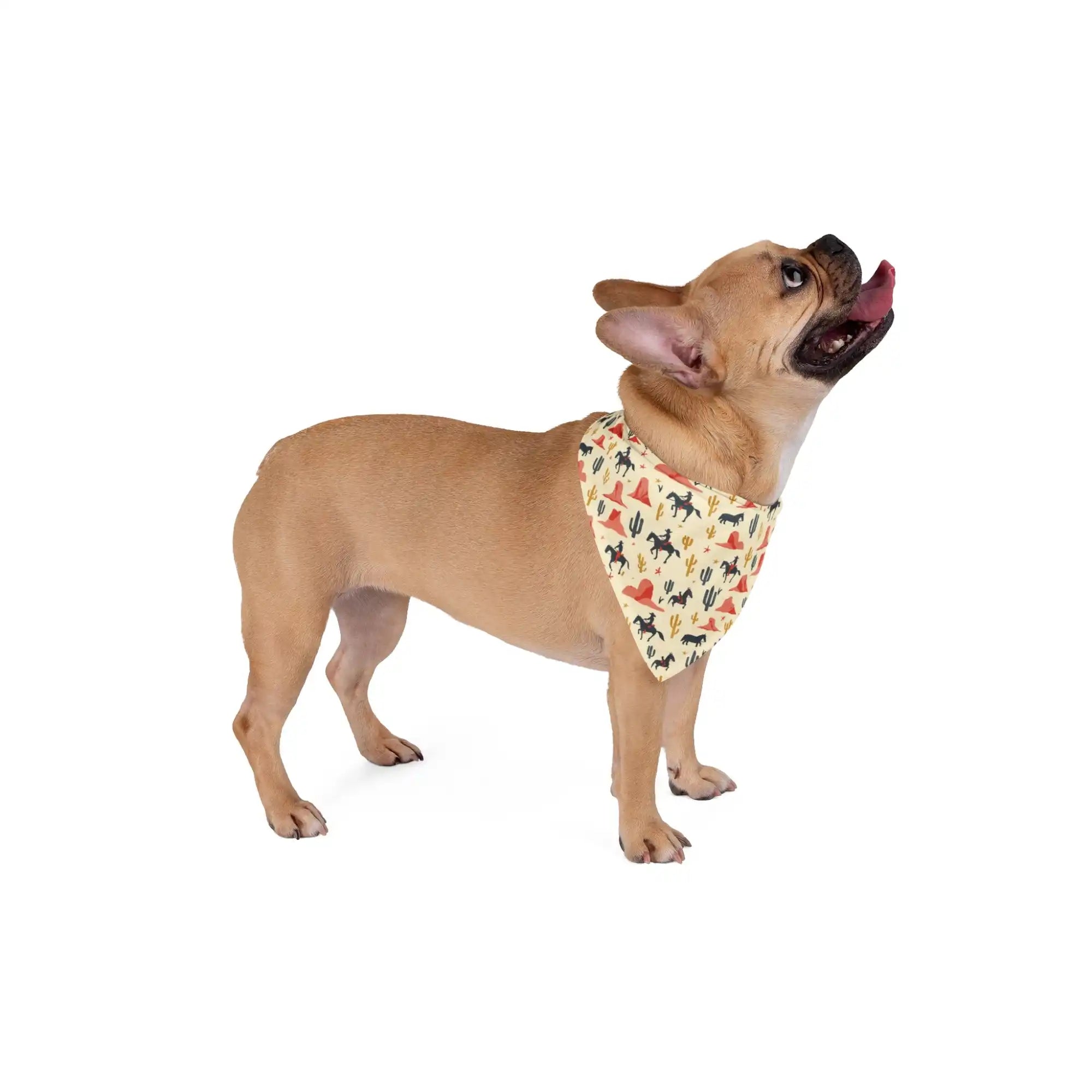 Tan French bulldog wearing a cowboy-themed bandana.