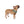 ’’Teton Valley’ ’ Double R Western’s Western Adventure Pet Bandana Pets