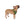 ’Vibrant Western Adventure’ Double R Western’s Western Adventure Pet Bandana Pets