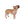 ’Western Trailblazer Dog Bandana’ Double R Western’s Western Adventure Pet Bandana 27’’ × 13’’ Pets