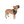 ’Wild West Stargazer Bandana’ Double R Western’s Adventure Pet Bandana Pets