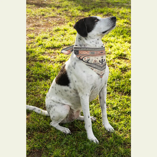 ’Wild West Wag’ Adventure Pet Bandana Pets